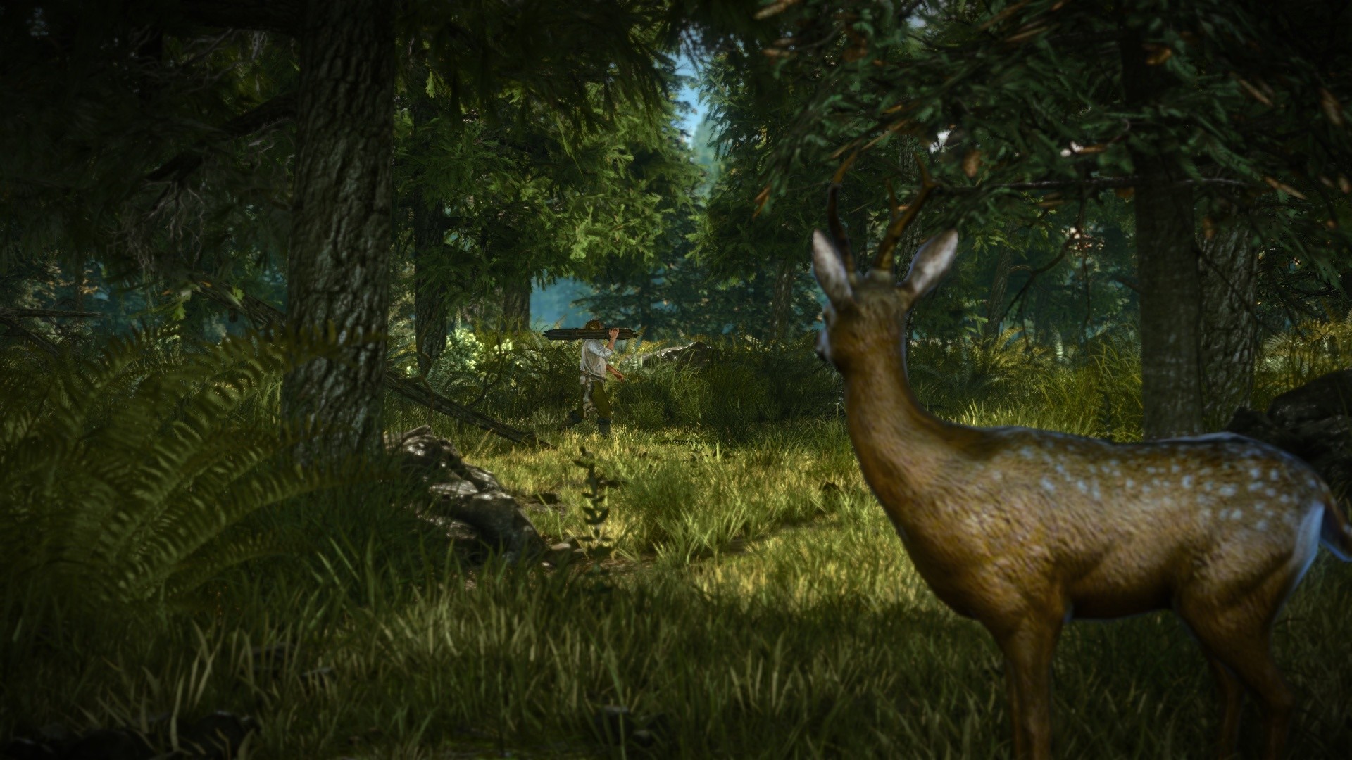 The Witcher 2: Assassins of Kings Enhanced Edition Soundtrack official in-game screenshot 1