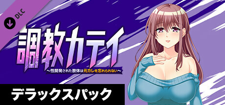 調教カテイ～性開発された肢体は元カレを忘れられない～ デラックスパック cover artwork
